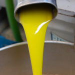 olio extravergine d'oliva toscano